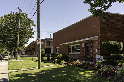 YOUNG TERRACE Photo